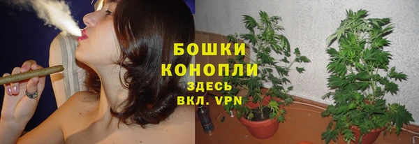 каннабис Бородино