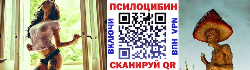 Галлюциногенные грибы мицелий darknet какой сайт Грайворон купить закладку